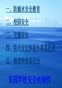 汇总交通安全防溺水校园安全防火防踩踏食品等安全教育方案