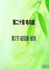 磁现象磁场说课课件