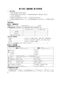 第十单元《酸和碱》单元复习导学案