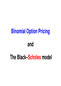 Binomial-Option-Pricing-students