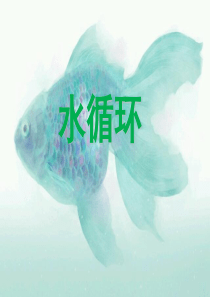 水循环PPT