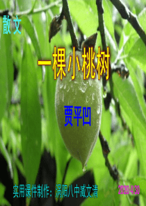 《一棵小桃树-》优秀课件