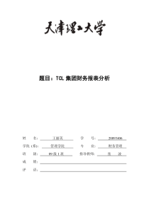 TCL集团财务报表分析