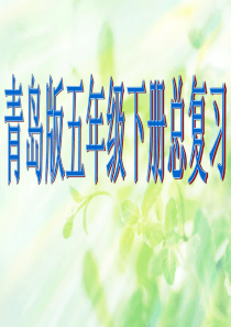 青岛版数学五年级(下册)总复习(精品版带练习)