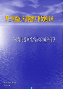 h罗兰贝格的培训例案万科发展战略ppt79