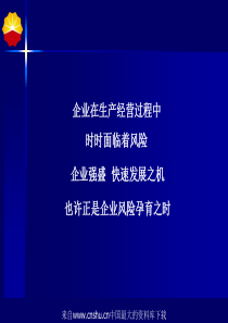 企业在生产经营过程中时时面临着风险(ppt 116页)