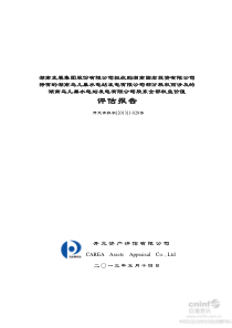 鸟儿巣水电站发电有限公司股东全部权益价值评估报告