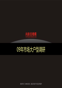 2009年房地产市场大户型研究大全