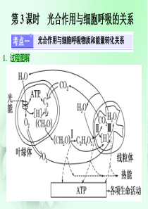 第三讲  第3课时 光合作用与细胞呼吸的关系(高中一轮复习)