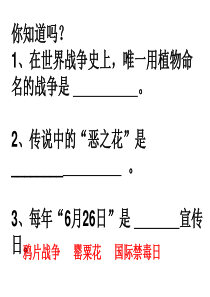 ppt课件-中学生禁毒主题班会