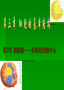 生物：3.3《细胞核―系统的控制中心》课件(新人教版必修1)(用)