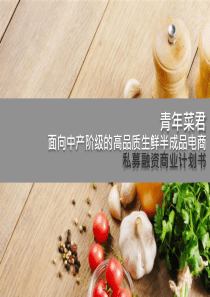 青年菜君面向中产阶级的高品质生鲜半成品电商私募融资商业计划书(创新工厂)（DOC10页）