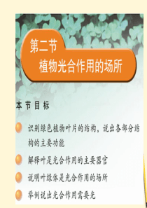 七年级生物《植物光合作用的场所》资料