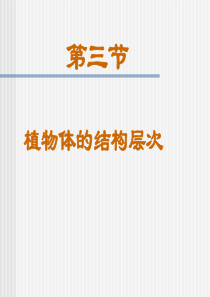 七年级生物上册 植物体的结构层次