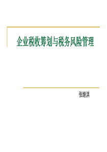 企业税收筹划与税务风险管理(幻灯)