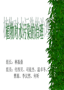 植物对水污染的治理-PowerPoint演示文稿