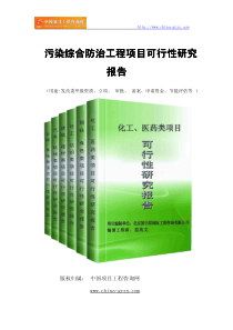 污染综合防治工程项目可行性研究报告(专业经典案例)