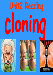 高二英语人教版选修8_unit2_Cloning_Reading_课件