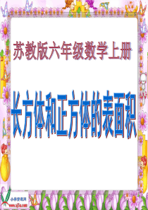 《正方体的表面积》PPT课件