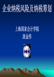 企业纳税风险及纳税筹划