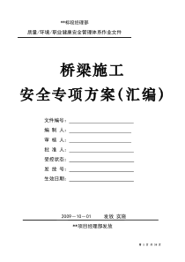 某项目桥梁施工安全专项方案