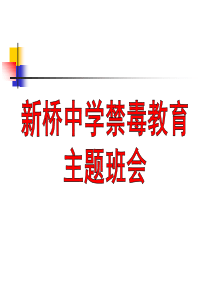 新桥中学禁毒教育主题班会课件