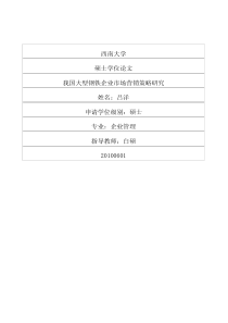 (SWOT分析-及其他分类分析)我国大型钢铁企业市场营销策略研究