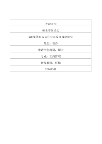 MQH集团有限责任公司发展战略研究