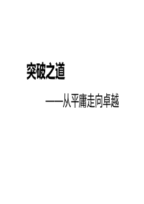 突破之道 从平庸走向卓越