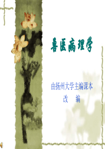 兽医病理学