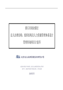 法人治理结构、组织结构及人力资源管理体系设计