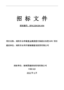 浏阳市永和镇重金属废渣污染综合治理EPC