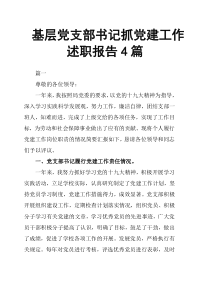 基层党支部书记抓党建工作述职报告4篇