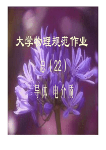 大学物理规范作业(本一)22解答