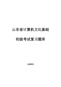 08-09年全套试题( 初级考试题库印刷版 )