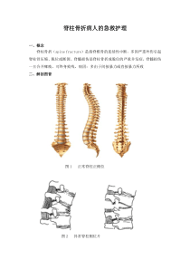 脊柱骨折病人的急救护理