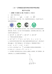 2017年黑龙江省齐齐哈尔市中考数学试卷及答案