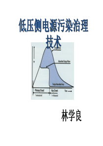 电源质量治理技术-林学良