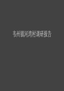 宁夏韦州镇河湾村规划前期调研报告