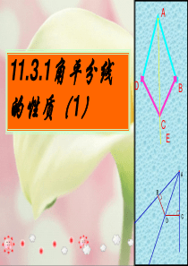 12.3.1 角的平分线的性质ppt课件