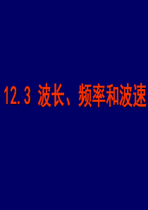 12.3波长频率和波速