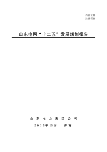 v1025山东电网“十二五”发展规划报告