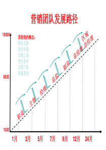 经典业务薪酬制度--聚成