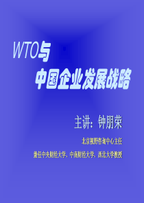 WTO与中国企业发展战略(1)