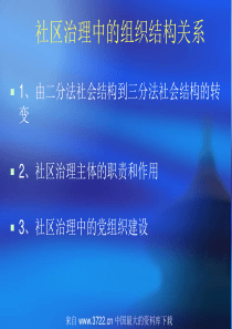 社区治理中的组织结构关系(ppt15)(1)