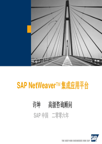 SAP NetWeaver平台集成