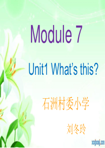 外研版陈琳主编三年级起Module7 Unit1 Whats this英语课件