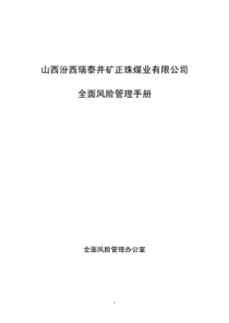 全面风险管理制度以及手册