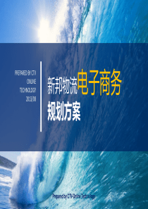 新邦物流电子商务规划方案0818