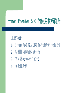 Primer Premier 5.0 使用技巧